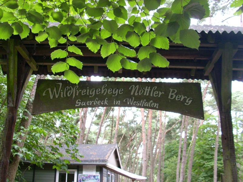 Wildfreigehege Nöttler Berg, Saerbeck_2.JPG