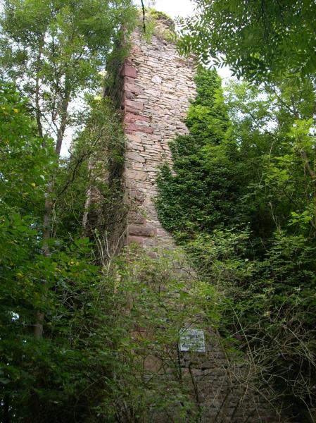 Burgruine Zuzenhausen_2.JPG