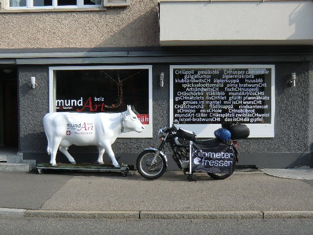 032. Weiße Kuh in Rapperswil-CH.jpg