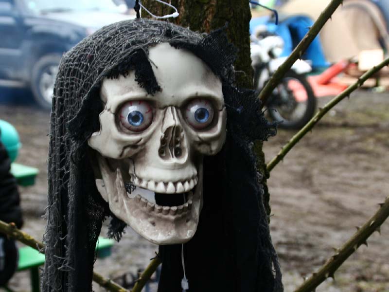 ...schau mir in die Augen