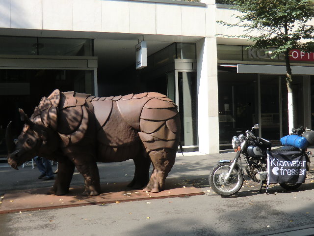 034. Nashorn in Zürich.jpg
