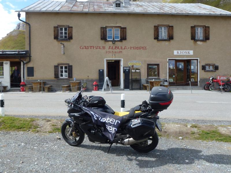 8Albula1.JPG