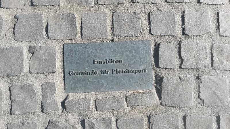 Skulptur Dressurpferd, Emsbüren3.jpg