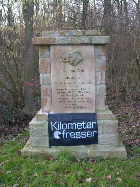 Wolfstein, Ascheberg-Herbern_N51.716262, E7.639655.JPG