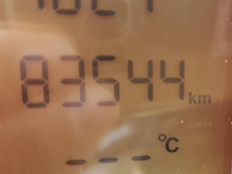 20190501_19262.jpg
