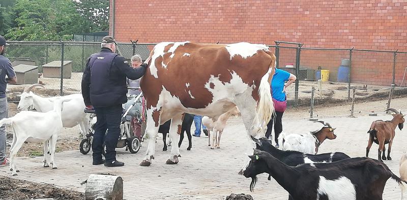 Gnadenhof ' Melief ' in Sögel, N52.8853383, E 51.8668 (5).jpg