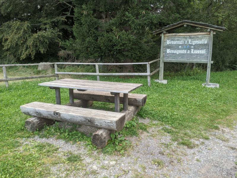 Pausenplatz am Forcella di Lius-3.jpg
