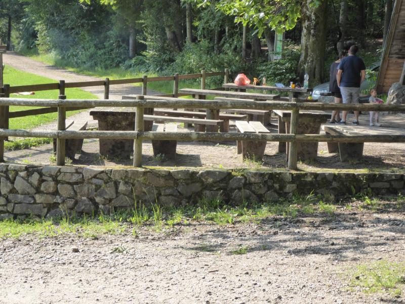 005Grillplatz Buchholzhütte3.JPG