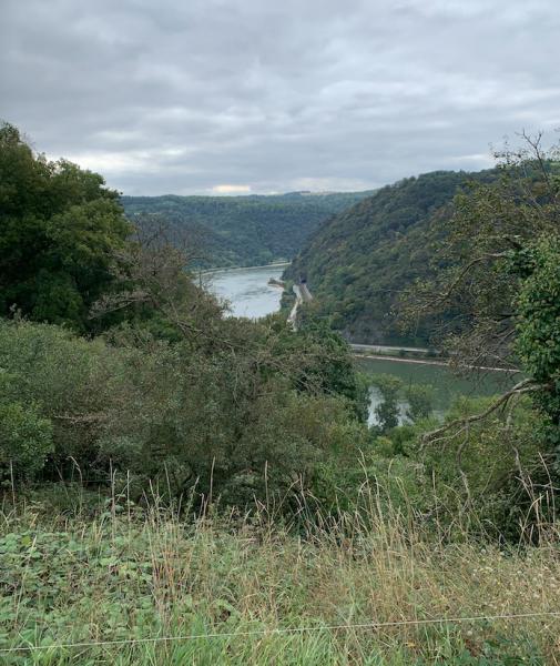 Loreley.jpg