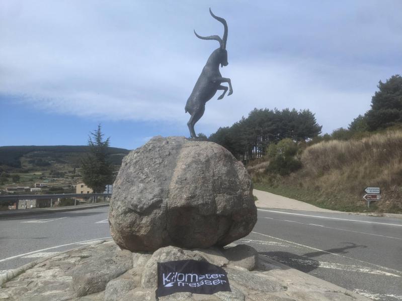 046Springender Bock.jpg