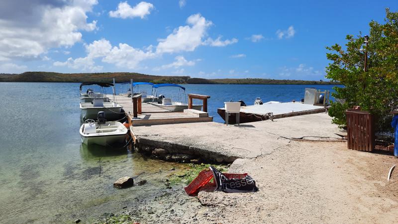 Stingraycity Antigua N 17.097011, -W 61.723911.jpg