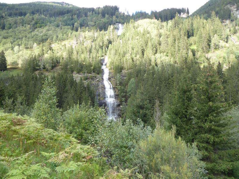 P1050565.JPG