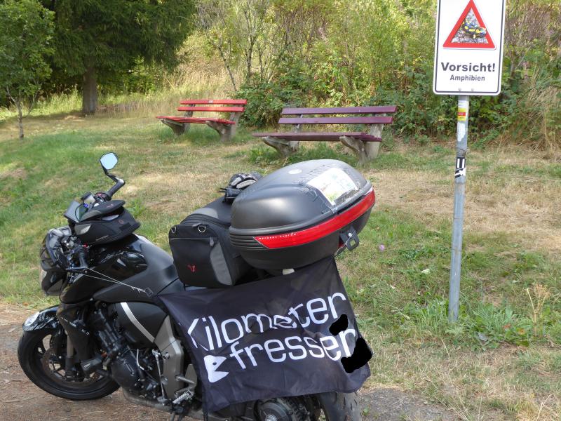 P1040737 am Dill.JPG