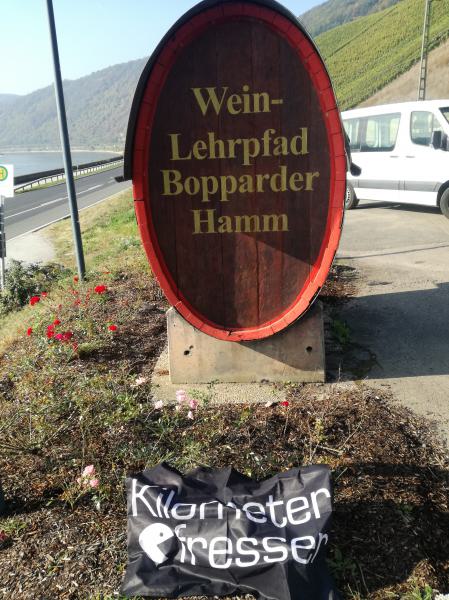 IMG_20211009_110103 (002).jpg