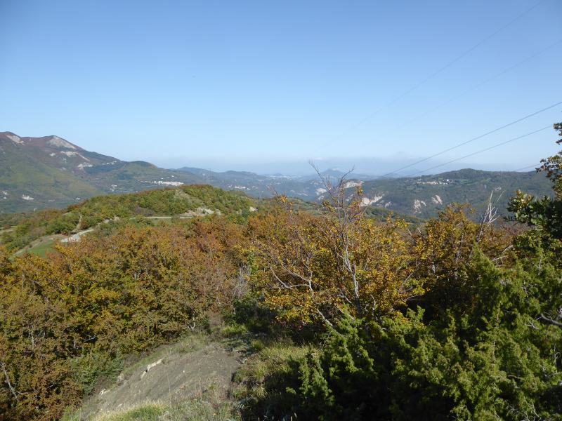 P1060059_Arbuceto2.JPG