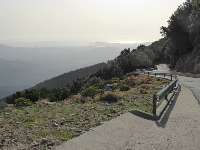 P1060177-Punto Panoramico di Talana2.JPG