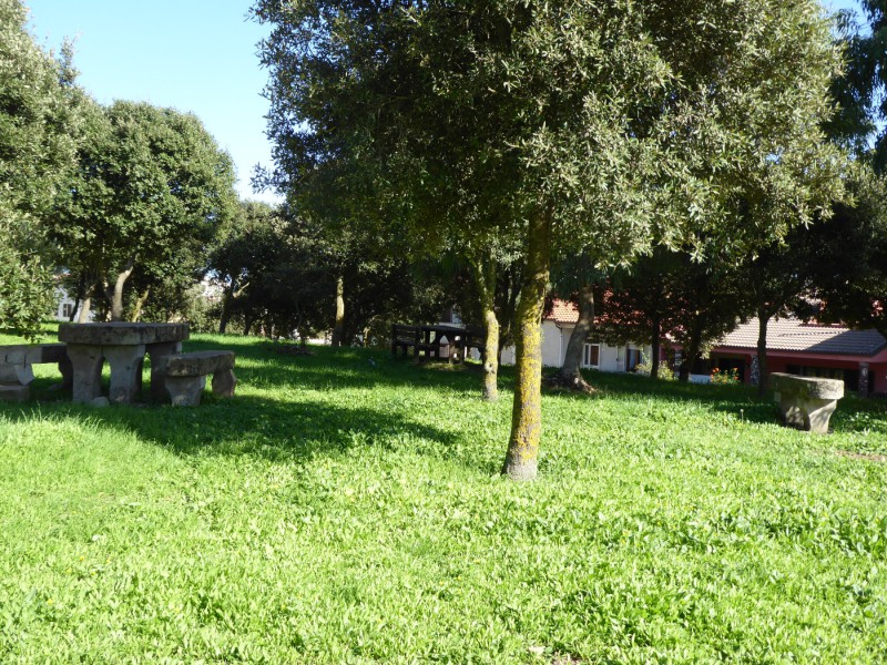 P1060108-Villanova Monteleone3.JPG