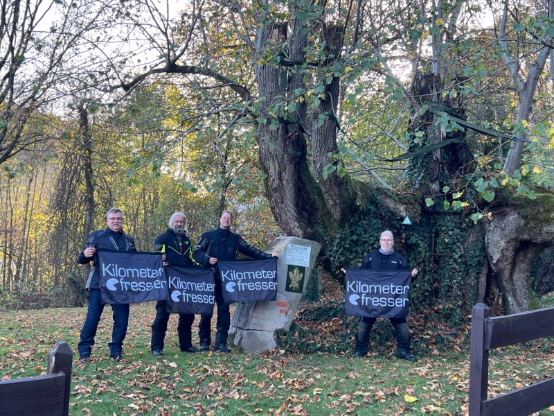 Fahnen an der Linde.jpeg