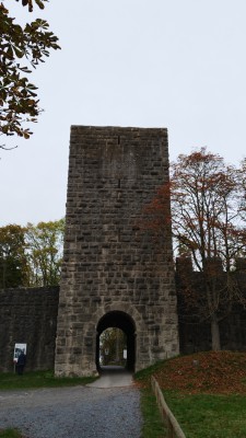 IMG_20221031_153744.jpg