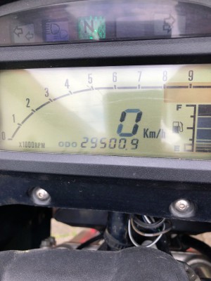 300423 Freewind.JPG