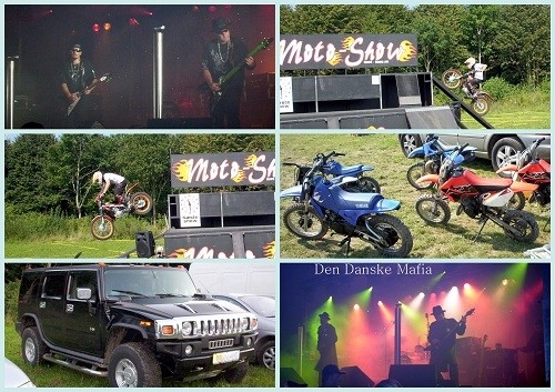 Dänemark Collagen (22).jpg