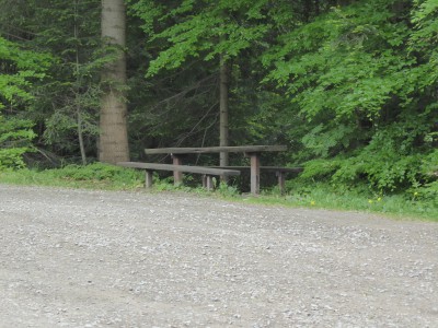P1070317.JPG