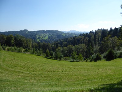 P1080172_Büel.JPG
