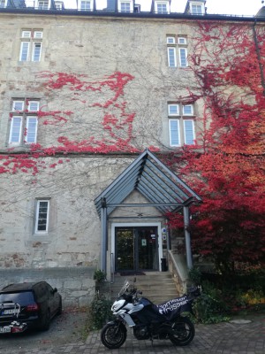 IMG_20221017_133506 (1).jpg