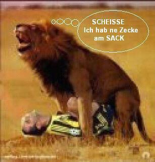Zecke am Sack.jpg