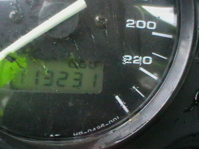 Istanbul 01.08.10 008.jpg