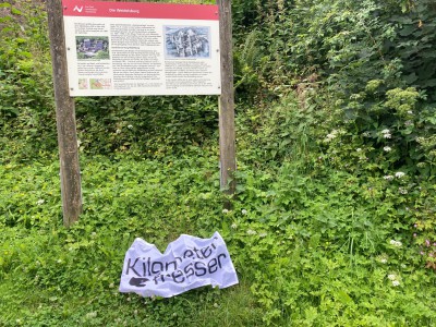 IMG_2081.jpeg