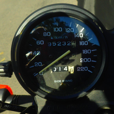 gmbo_2024-07-10_95232.JPG