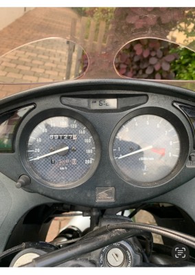 IMG_5429.jpeg