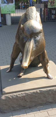 20240725_092409.jpg