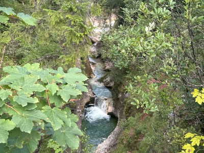 IMG_1934.jpeg