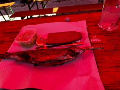IMG_2079.jpeg
