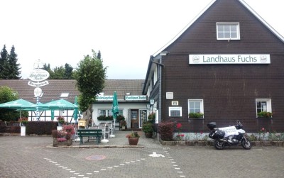 Fuchs1   51.030799344237906, 7.307873960245185.jpg