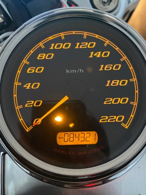 Moin auf ein Neues