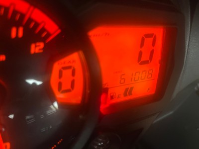 IMG_3652.jpeg