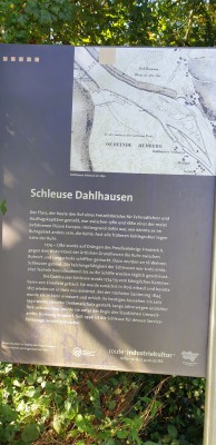 20240922_122217.jpg