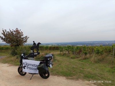 2025_Fahnenchallenge _Rheingauer Rieslingroute_Spätlesereiter.jpg