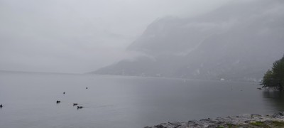 IMG_20240926_113513.jpg