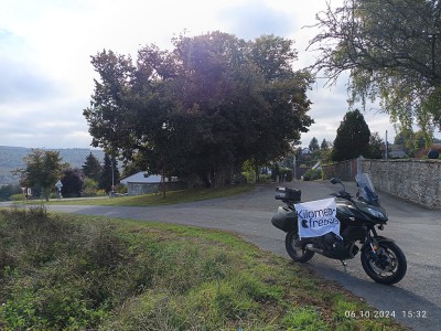 2025FC_1000 jährige Linde.jpg