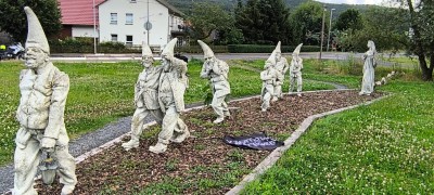 IMG_20240724_160448.jpg