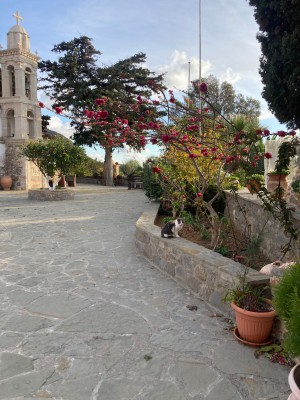 IMG_3835.jpeg