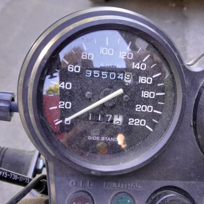 gmbo-2025-05.jpg