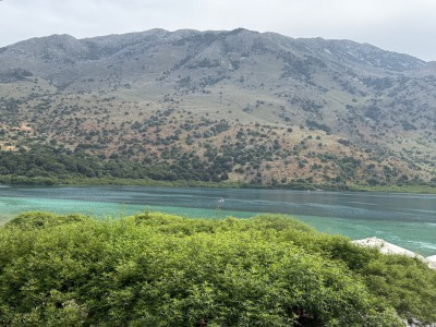 IMG_2479.jpeg