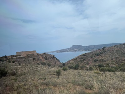 IMG_2423.jpeg