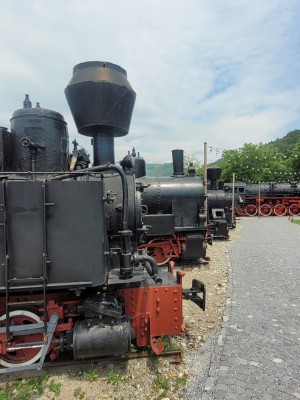 20250617_140005.jpg