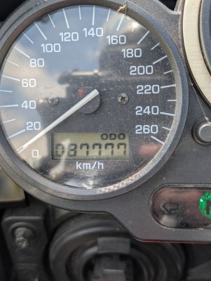 PXL_20250628_100952272.jpg